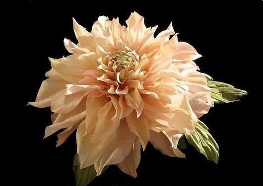 Это маленькое произведение искусства, которое способно оживить облик и добавить в повседневность ... - 6