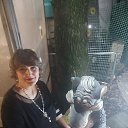 ���� ����, ����������, 53 ���� - ��������� 16 ����� 2026 � ������ ���� ����������