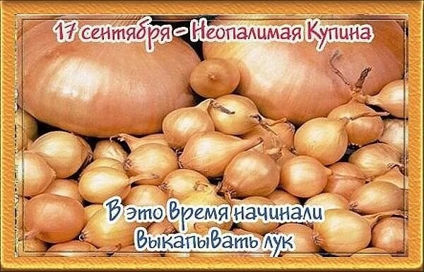 : , , , , , , , , 