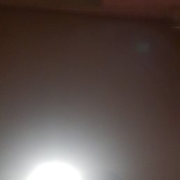 David, �����������, 35 ���