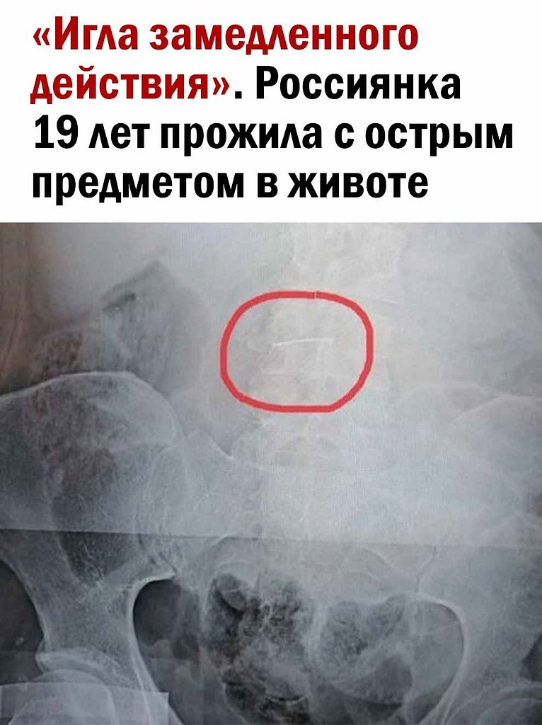  - 29  2025  06:04