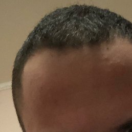 �����, ��������, 23 ����