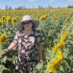 Gulnara, 