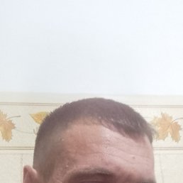 ���� ������, �����������, 43 ���� - ��������� 9 ������� 2024