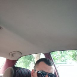 , 33, 