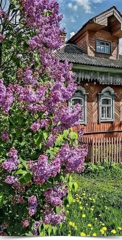 Ничего не храню…про запас….Кроме разве…уютного детства…Убегаю туда…каждый раз…Когда хочется…просто ...