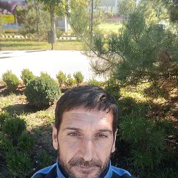 , 46, 