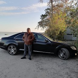 �������, ����, 56 ���