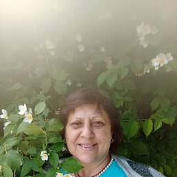 , 57, 