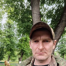 , 41, 