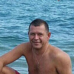 ��������, ��������, 44 ����