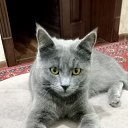 ���� ������, �����, 26 ��� - ��������� 21 ������ 2024 � ������ ���� ����������