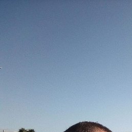 ����, �����������, 43 ����