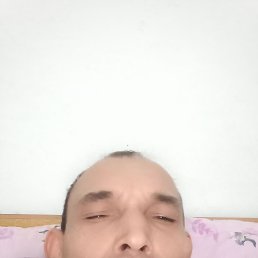 , 44, 