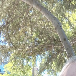 ���������, �����������, 56 ���