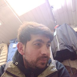 Elvin, ������, 36 ���