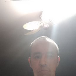 ������, ��������, 41 ���