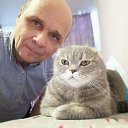 ���� �����, ������, 50 ��� - ��������� 24 ������ 2024