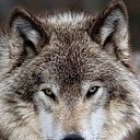  , -, 56  -  19  2025    