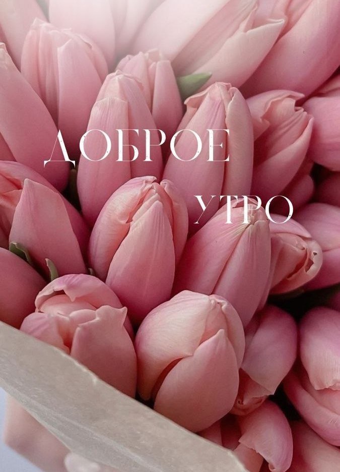   ,    . - 14  2025  07:48