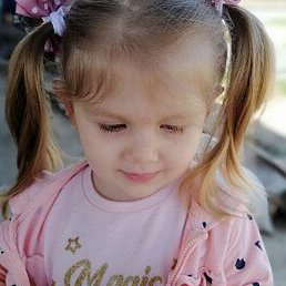 �������, ���������, 41 ���