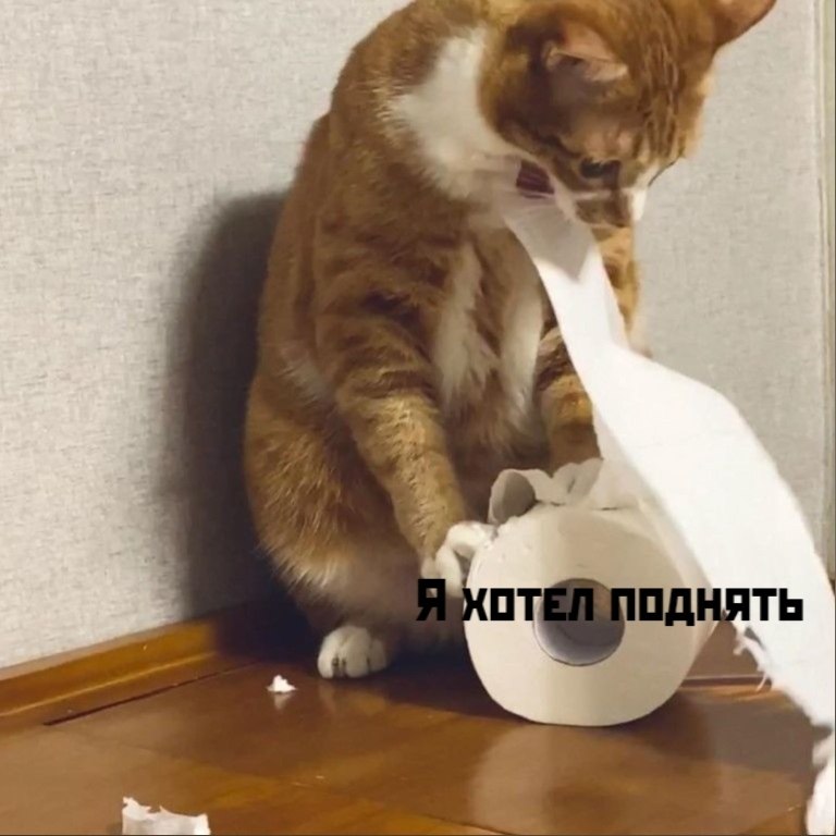 ��� ���� � ����� �� �� - 4 ������ 2026 � 16:23 - 2