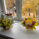 ���� ��������, ������, 59 ��� - ��������� 4 ������� 2024 � ������ ���� ����������