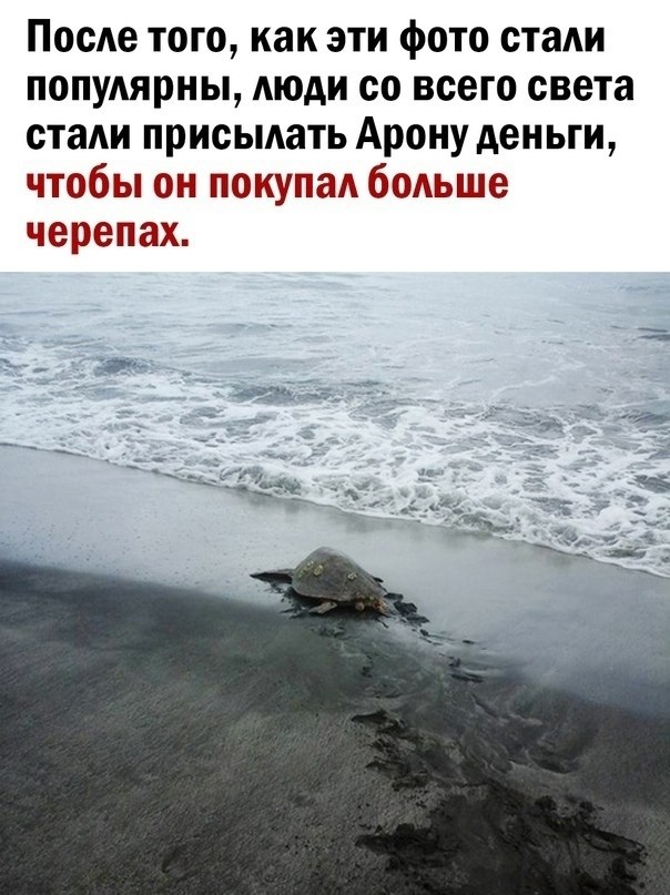      - 2