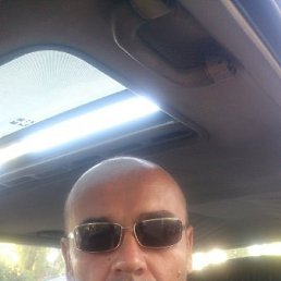 , 50, 