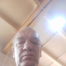 , 51 , 