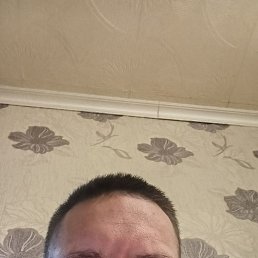 ���������, 44 ����, ��������