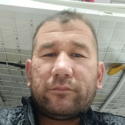 �����, ������, 39 ���