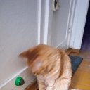 ���� ��������, ���������, 62 ���� - ��������� 2 ������� 2025 � ������ ������ ��������