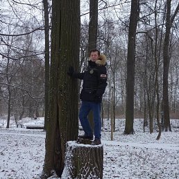 �������, 65 ���, ������