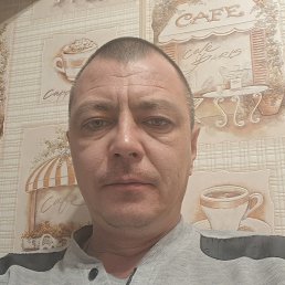 , 44, 