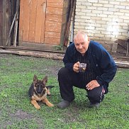 ����, 58 ���, ������