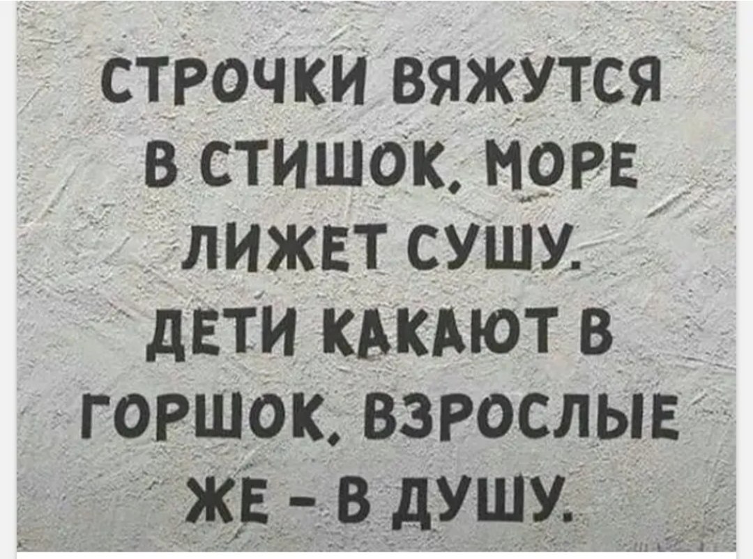 ������ - 26 ������� 2024 � 18:49