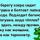 ���� ���������, �����-��������� - ��������� 16 ��� 2026 � ������ ������ ��������