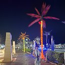 ���� ����, ������������, 50 ��� - ��������� 11 ���� 2025 � ������ ���� ����������