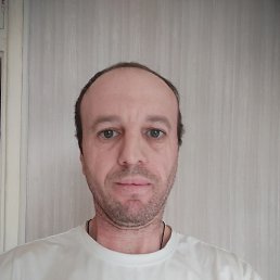 �����, 41 ���, ����