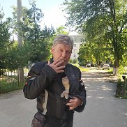 , 55 , 