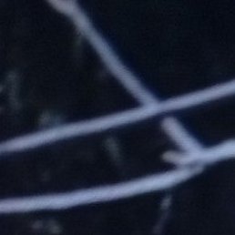 �������, ����, 51 ���