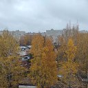 ���� Ը���, ���������, 47 ��� - ��������� 12 ������� 2025 � ������ ���� ���������