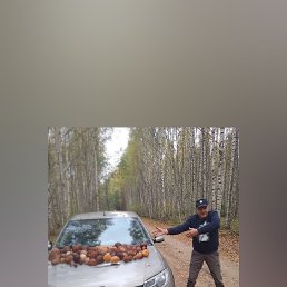 ���� ������, �����-���������, 72 ���� - ��������� 20 ������� 2023