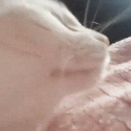 ����, �����, 55 ���