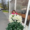 ���� �����), �����-���������, 51 ��� - ��������� 18 ��� 2025 � ������ ���� ����������