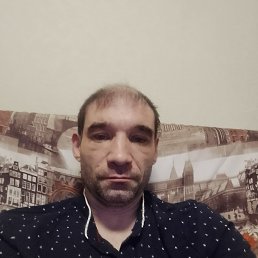 ���� ����, ������, 41 ��� - ��������� 28 ������� 2026