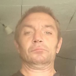 �������, ���������, 48 ���