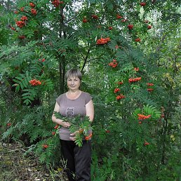 �������, �����