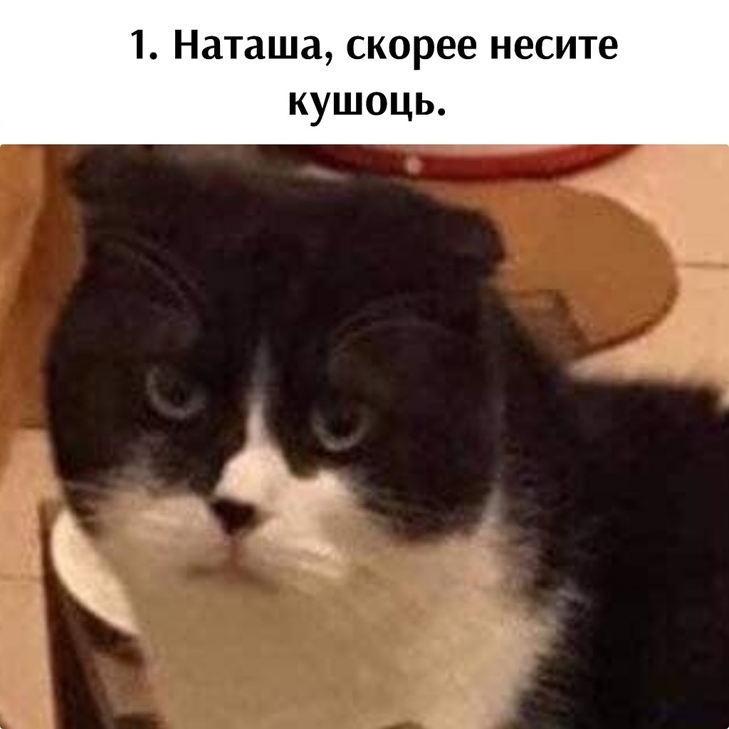       - 12  2024  16:06 - 2